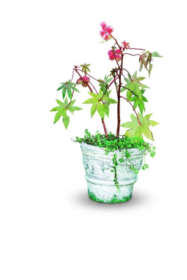 Pot de fleurs pot de plante décoration figure de la nature pots de fleurs vases jardin