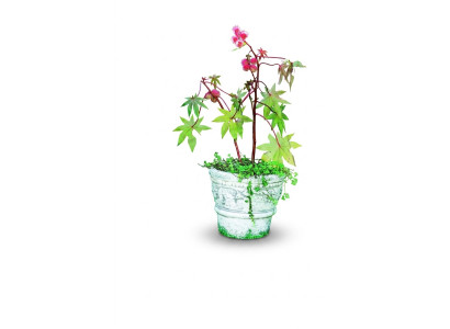 Pot de fleurs pot de plante décoration figure de la nature pots de fleurs vases jardin