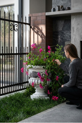 Pot de fleur, pot de plante, décoration naturelle, figurine, vase, pots de fleurs, jardin