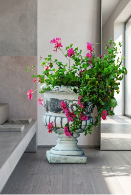 Pot de fleur, pot de plante, décoration naturelle, figurine, vase, pots de fleurs, jardin