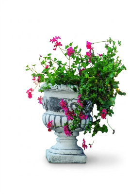 Pot de fleur, pot de plante, décoration naturelle, figurine, vase, pots de fleurs, jardin