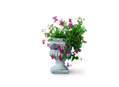 Pot de fleur, pot de plante, décoration naturelle, figurine, vase, pots de fleurs, jardin