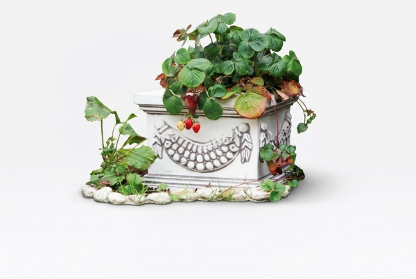 Pot de fleur plante pot naturel décoration figurine vases pots de fleurs de jardin