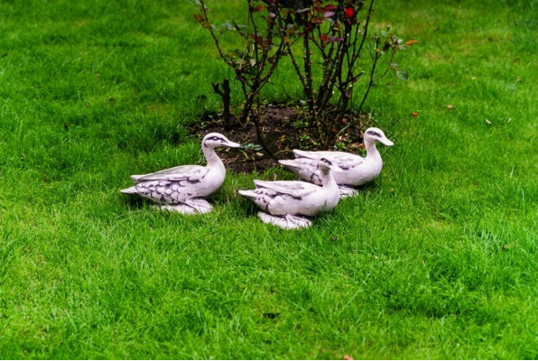 Décoration de jardin Canard Pierre Patio Figures Figure Statue Sculpture