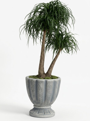 Conception pot de fleur décoration pot de plante sommet pot pots figure visage sculpture