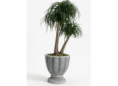 Conception pot de fleur décoration pot de plante sommet pot pots figure visage sculpture