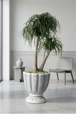 Boîte de pots de fleurs pour pots de fleurs décoratifs XXL en béton pour jardin et terrasse