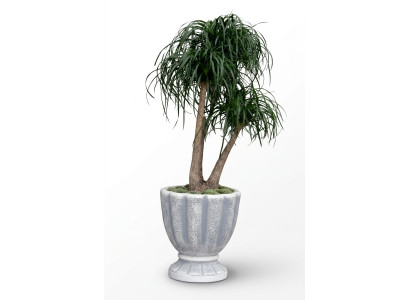 Boîte de pots de fleurs pour pots de fleurs décoratifs XXL en béton pour jardin et terrasse
