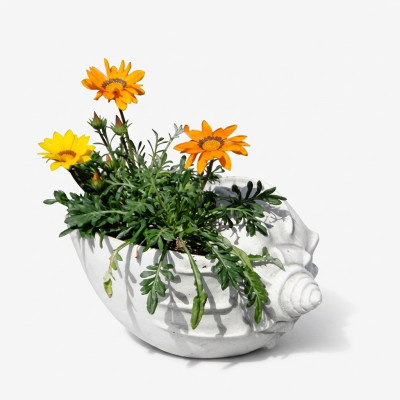 Conception de pot de fleur, pot de plante supérieur, pot décoratif, pots de navire figure visage