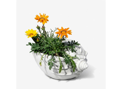 Conception de pot de fleur, pot de plante supérieur, pot décoratif, pots de navire figure visage