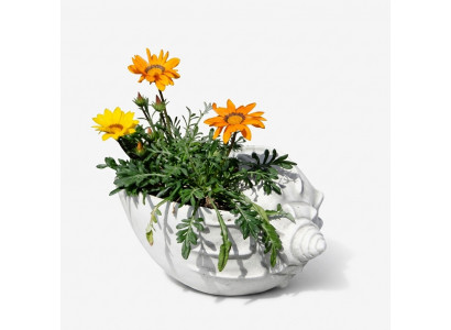 Conception de pot de fleur, pot de plante supérieur, pot décoratif, pots de navire figure visage