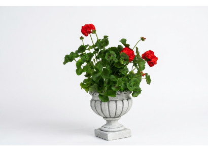 Conception Pot de fleur Haut Plante Seau décoratif Vases Figure Visage
