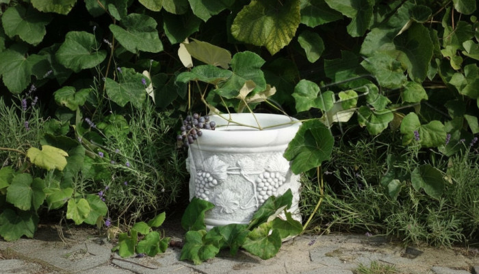 Vase à fleurs boîte de fleurs jardin décoration en pierre décoration style antique fleurs