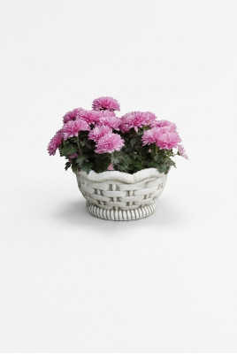 Pots de fleurs boîte pot fleurs pots XXL jardin béton terrasse décorative.
