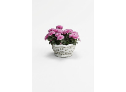 Pots de fleurs boîte pot fleurs pots XXL jardin béton terrasse décorative.