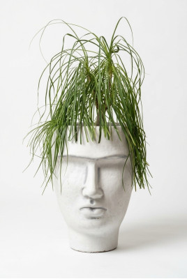 Conception de pot de fleur dessus pot de plante vase figure décorative pots sculpture de visage