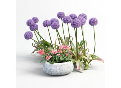 Pot de fleurs pot de plante naturel décoration de jardin vases figurine pots de fleurs
