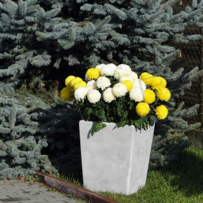 Pot de fleurs, pot de plante, vases de décoration, figurines de jardin, pots de fleurs naturels