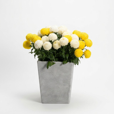 Pot de fleurs, pot de plante, vases de décoration, figurines de jardin, pots de fleurs naturels