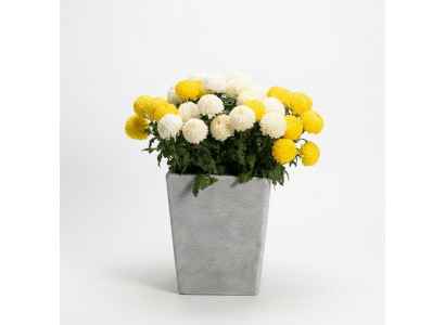 Pot de fleurs, pot de plante, vases de décoration, figurines de jardin, pots de fleurs naturels