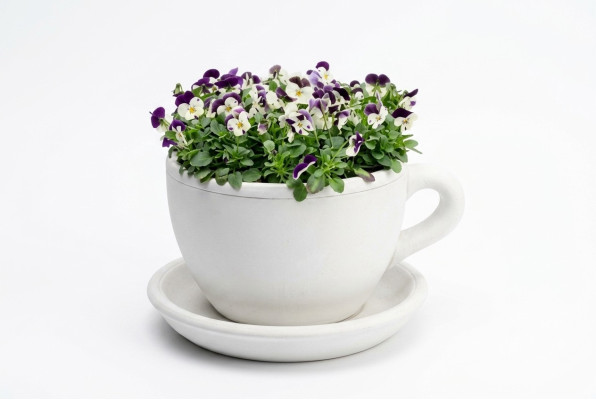 Pot de fleurs, pot de plantes, décoration naturelle vases figure jardin pots de fleurs