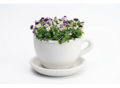 Pot de fleurs, pot de plantes, décoration naturelle vases figure jardin pots de fleurs