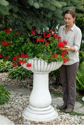 Pot de fleurs plante pot décoration vases de jardin naturels pots de fleurs figure