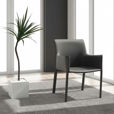 Conception de sièges rembourrés pour la salle à manger, le club, la cuisine, le salon, le mobilier de vie. Chaise fauteuil.