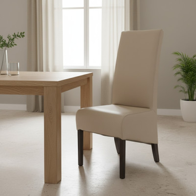 Design 10x Chaise de restaurant Ensemble de chaises de salle à manger Siège Groupe Tapissier Chaises Gastro