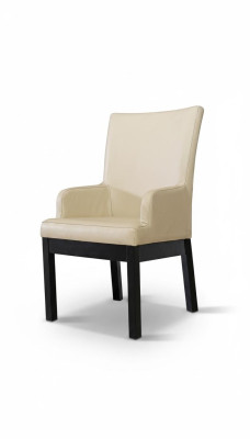 Ensemble de 20 chaises de salle à manger Fauteuil en bois avec revêtement en cuir Chaise de salle à manger de type gastronomique