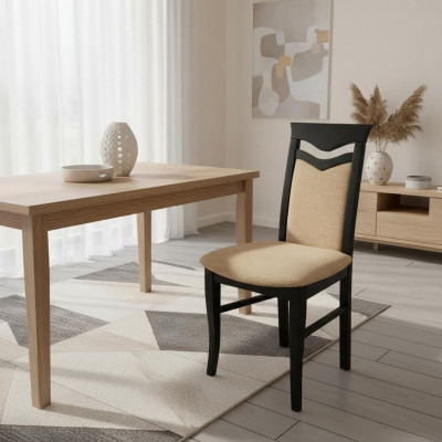 Bois 20x Ensemble de chaises de restaurant pour salle à manger Groupe de chaises rembourrées Gastro nouvel Chaise