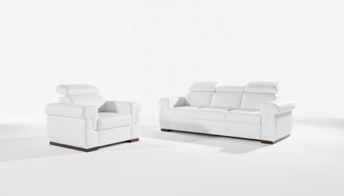 Canapé 2 places Canapés design Revêtement de siège moderne En tissu en cuir Deux places neuf