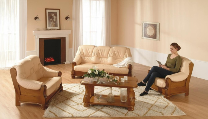 Chaise de salon classique en cuir à un siège Canapé rembourré simple à un siège téléviseur neuf