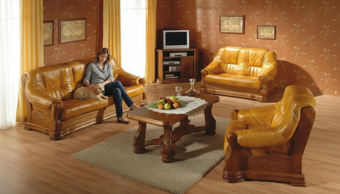 Meubles de salon classiques Ensemble de canapé Canapé en cuir Coussin de siège Canapé