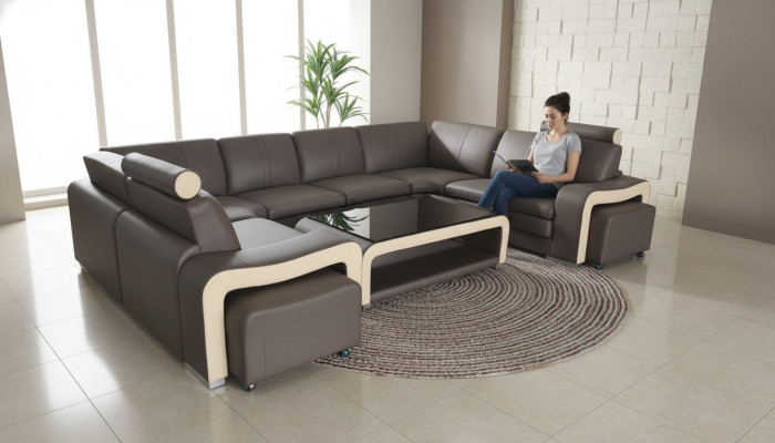 Canapé en cuir avec USB Paysage vivant Canapé d'angle Suite d'angle Design Canapé moderne