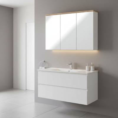 Armoire de toilette en miroir Armoire murale Armoire de salle de bains avec miroir 100 cm