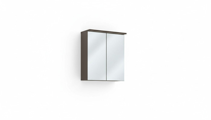 Armoire à miroir armoire murale Armoire de salle de bain avec miroir 60 cm LED