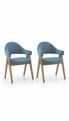 Ensemble de 2 chaises de luxe design Rembourrage Chaises en bois massif Assise Bureau Bureau Salle à manger