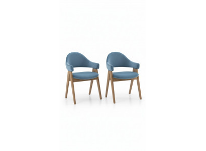 Ensemble de 2 chaises de luxe design Rembourrage Chaises en bois massif Assise Bureau Bureau Salle à manger
