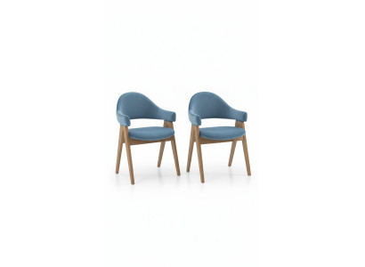 Ensemble de 2 chaises de luxe design Rembourrage Chaises en bois massif Assise Bureau Bureau Salle à manger