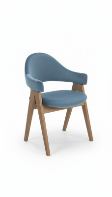 Salle à manger Ensemble de 6 chaises de design luxueux Rembourrage Chaises en bois massif Siège de bureau