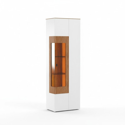 Vitrine Armoire en verre Vitrine de salon 1 porte Vitrine Armoire grande armoire moderne