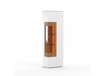 Vitrine Armoire en verre Vitrine de salon 1 porte Vitrine Armoire grande armoire moderne