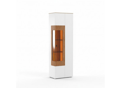 Vitrine Armoire en verre Vitrine de salon 1 porte Vitrine Armoire grande armoire moderne
