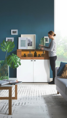 Commode armoire en chêne Vitrine Commodes vitrine garde-robe de designer