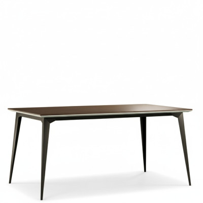 Table à manger en bois de designer classique Table Table Salle à manger Salle de séjour Moderne