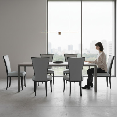 Ensemble de 6 chaises de salle à manger en bois massif, chaise design, chaises de salle à manger, chaises neuves