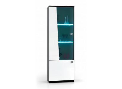 Élégante vitrine moderne pour salon vitrine de style armoire vitrine vitrine en verre pour salon nouveau