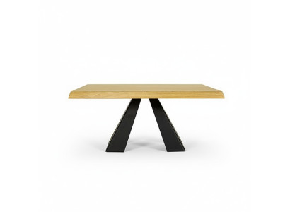 Table basse Table de canapé Table d'appoint pour canapé en bois massif 100x60cm