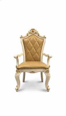 Salon Chaise Design Salle à manger Bois Chaises Rembourrage avec Accoudoir